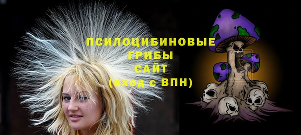 шишки Баксан