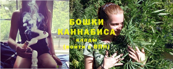 шишки Баксан